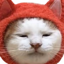 catHmm emote
