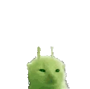glorpfi emote