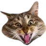 cat_plushkiv emote