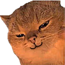 CatSmirk emote