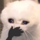 ohmygod emote