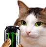 kiisu_monster emote