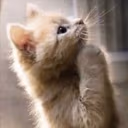 pwease emote