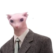 business_cat emote