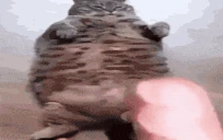 Baton emote