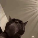 clap emote
