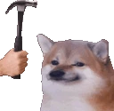 dog_hammer emote