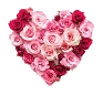 Roseflowerheart emote