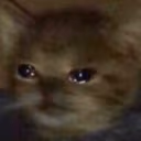 CE_SadCat11 emote