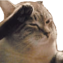 o7 emote