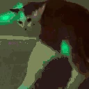 CatTwerk emote