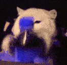 PepsiShakey emote