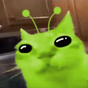 catErm emote