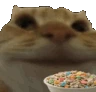 CatNom emote