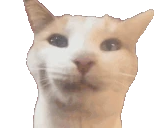 BLEHING emote
