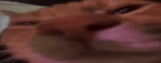nogang emote
