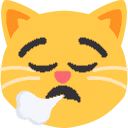 tiredCat emote