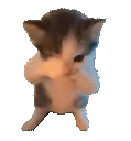 SCUBA emote