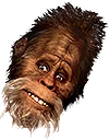 Harry emote