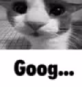 GOOG emote