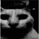 catDespair emote