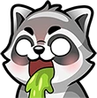 Raccoon_112_20 emote
