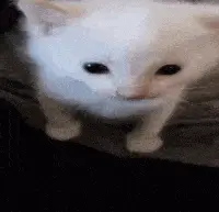 hubert emote