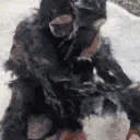Shower emote