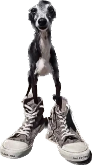 dawgy emote
