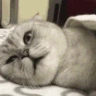 CE_SleepTime emote