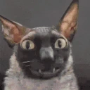Ueban emote