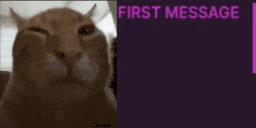 firsttimebuh emote
