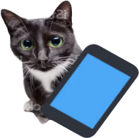 phonecat emote