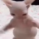lmao emote