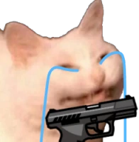 sadcattogun emote