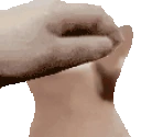 PETTHECAT emote