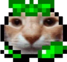 goombruh emote