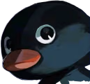 penguinStare emote