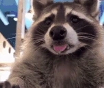 Smilegate emote