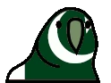 pakistanParrot emote