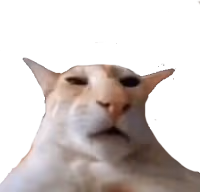 shaun emote