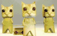 catsdancingomg emote
