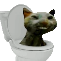 xddSkibidiSpin emote