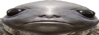 lilbroStare static emote