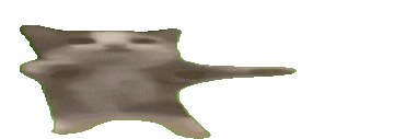 happyhappy emote