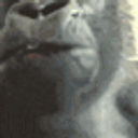 MonkeyBruh animated emote