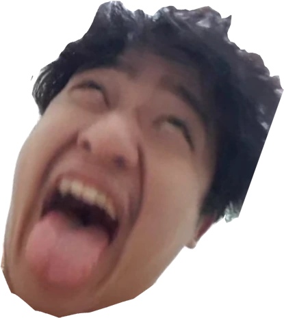 elpi_stupid emote