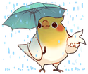 birbrain emote