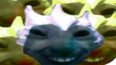 xddPL static emote