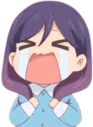 fujoshiCry emote